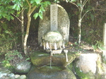 DSC00899_NEW.jpg